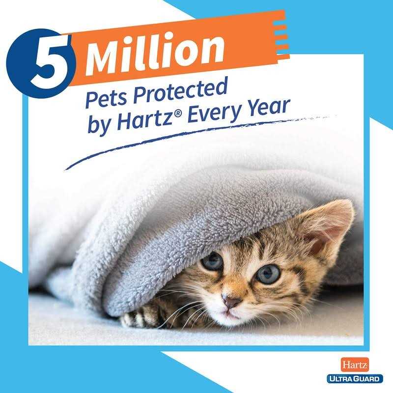 Flea & Tick Prevention For Cats M20464