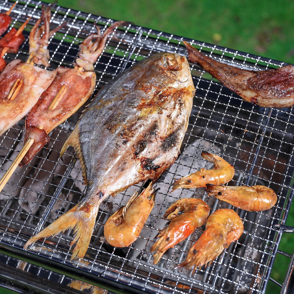 Foldable Stainless Steel Charcoal Grill P202060