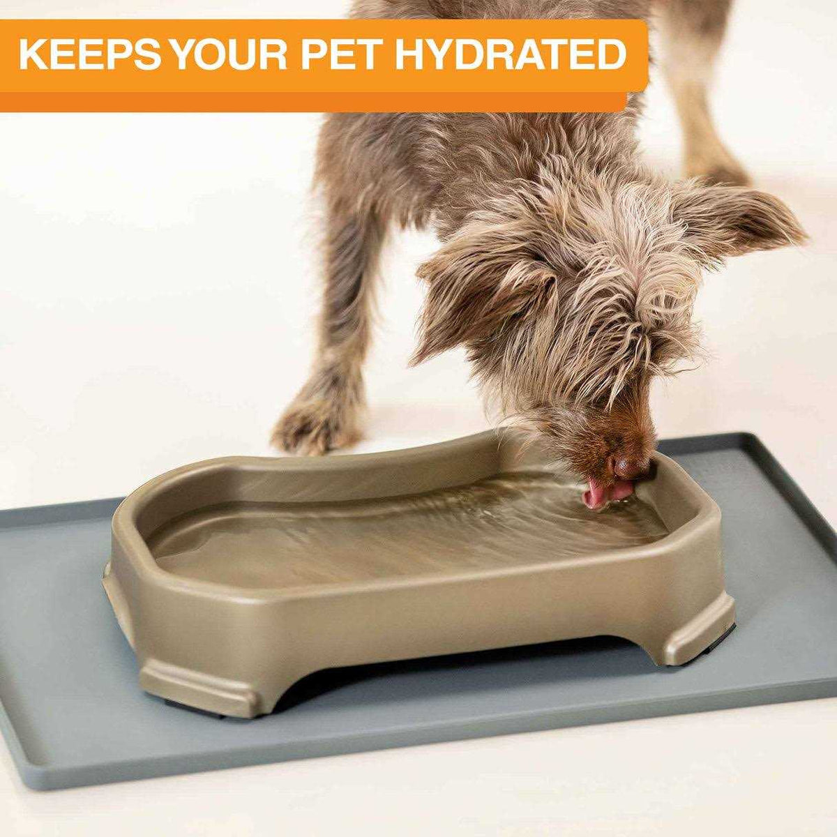 Bowl with Leg Extensions Dog Water Dish J25348