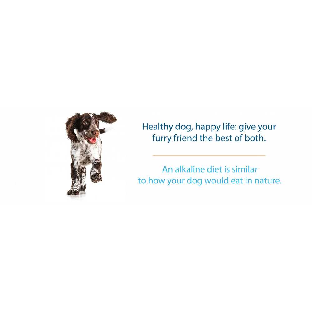 Grain Free Dry Dog Food R864