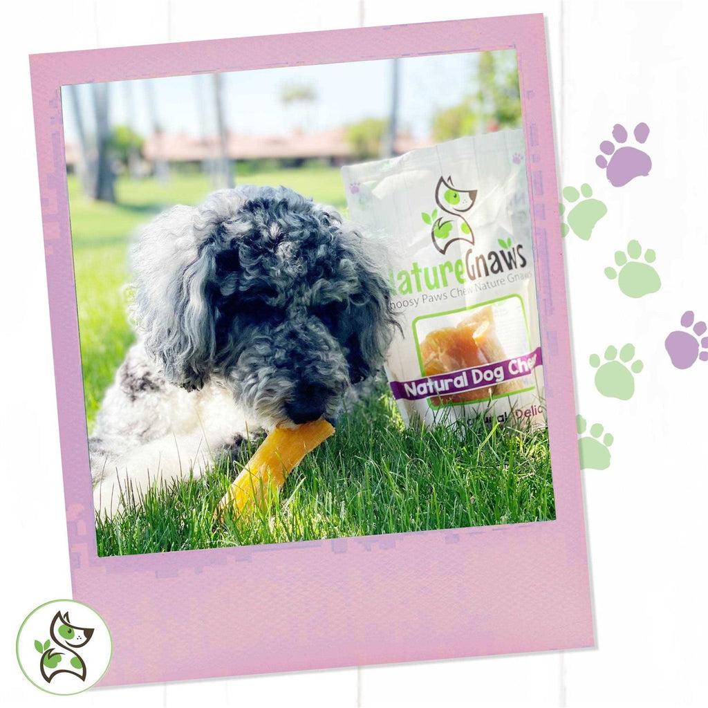 Beef Tendon Dog Chews G22010