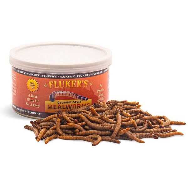 Canned Mealworms Y209556