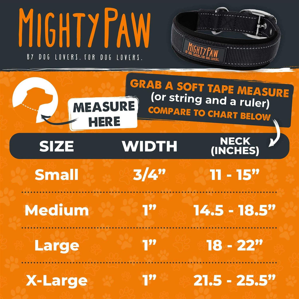 Dog Collar Y51189
