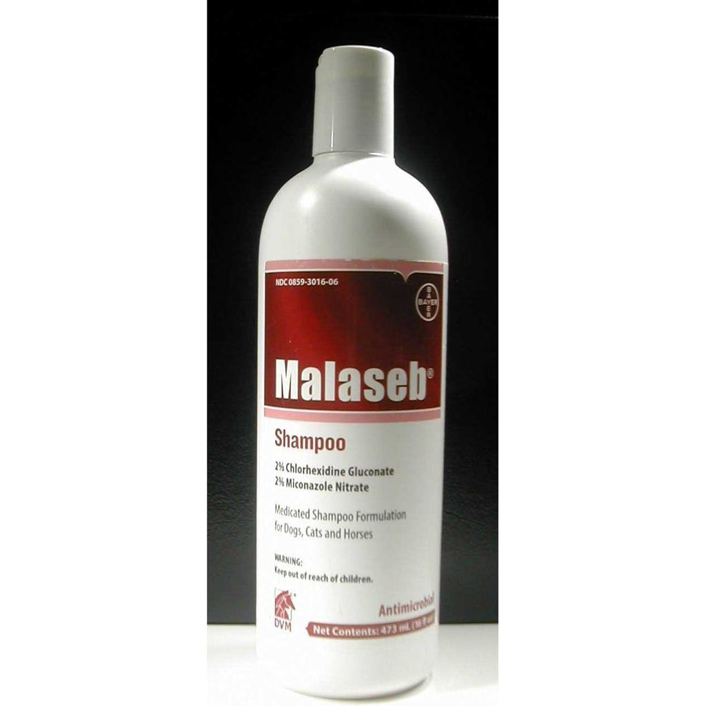 Shampoo 8 oz G66665