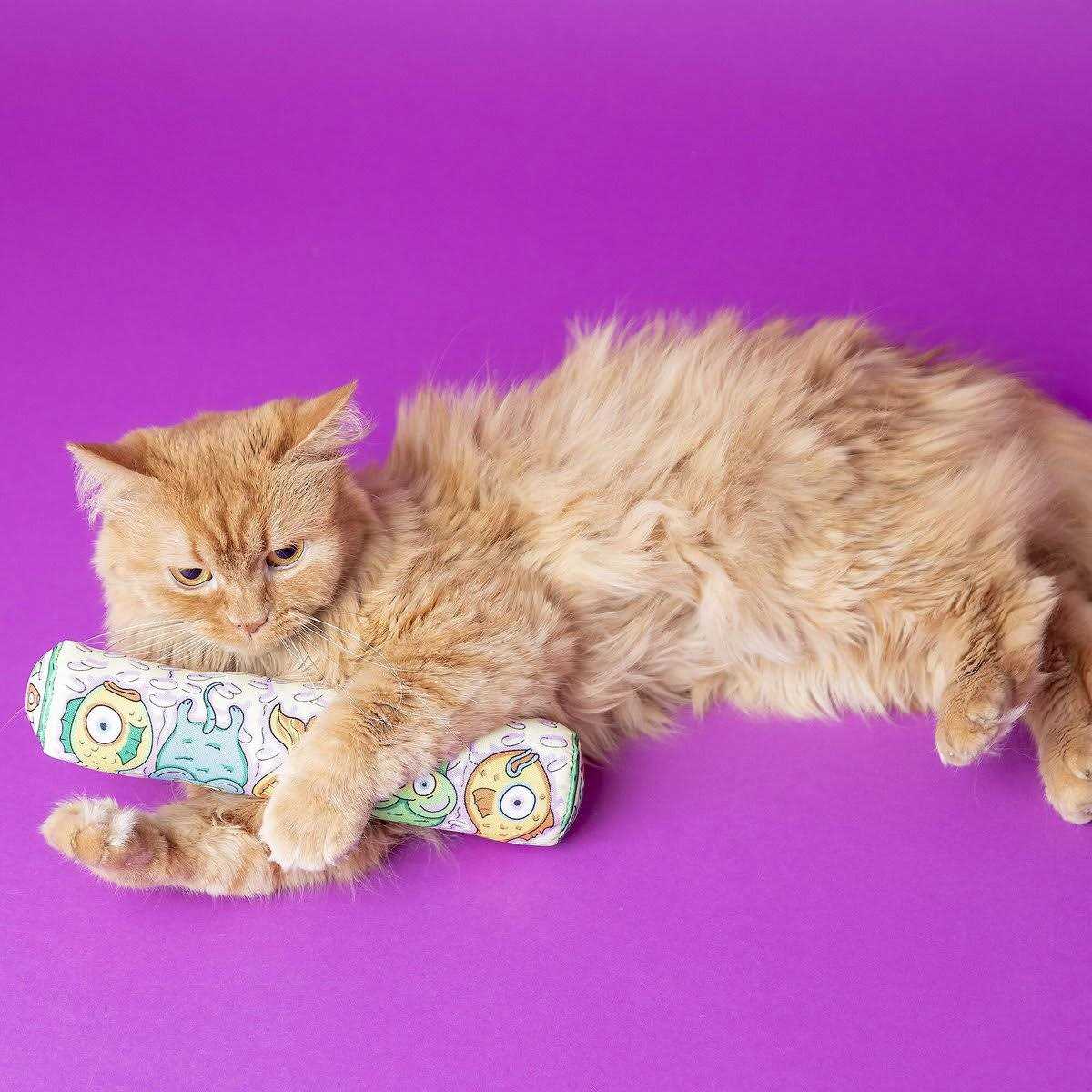 Cat Toy G636824