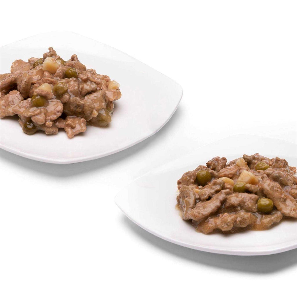 Grain-Free Wet Dog Food Variety Pack L5159