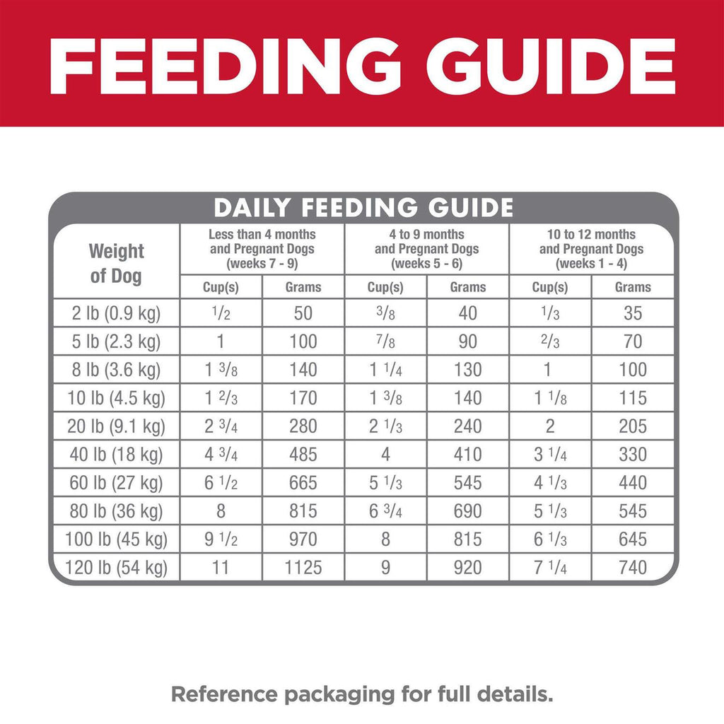 Dry Dog Food Q193421