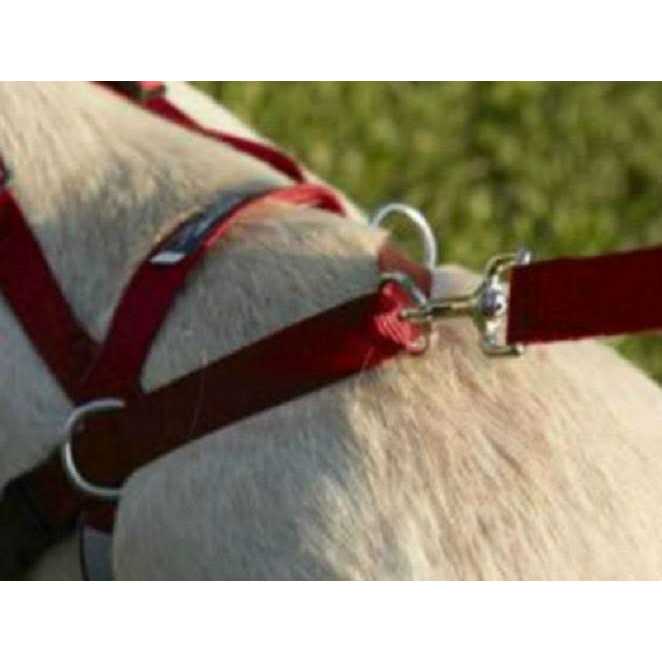 One Harness Y50166