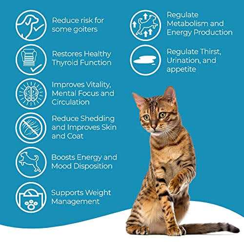 Cat Thyroid Supplement R831163