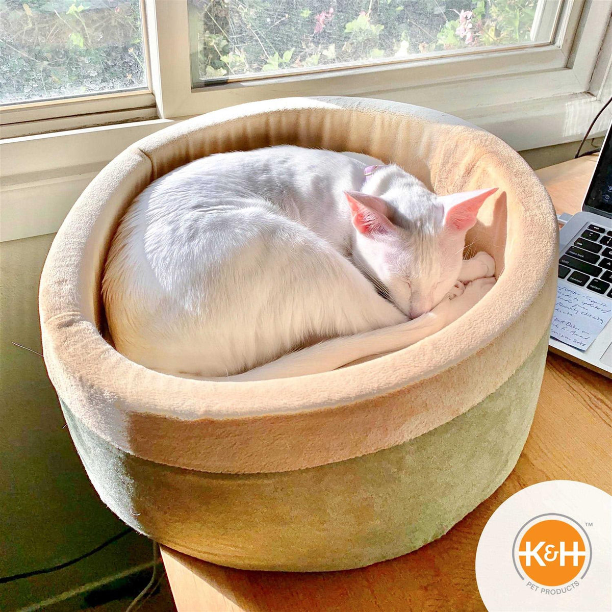 Cat Bed Q573