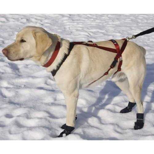 One Harness Y50166