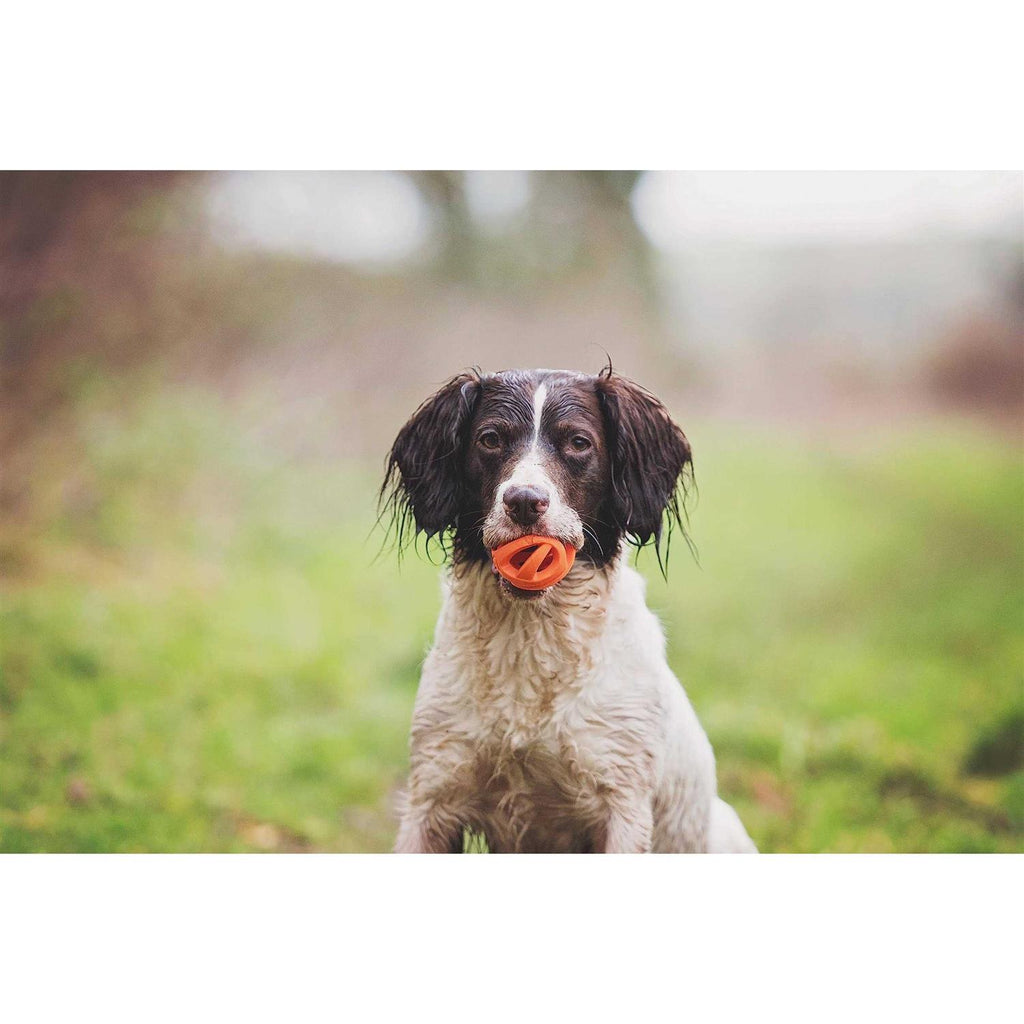Fetch Ball L40933