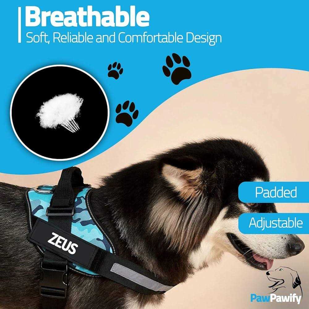 Easy-On No Pull Dog Harness A28049