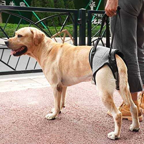Dog Sling for Large Dogs Hind Leg Support M1134