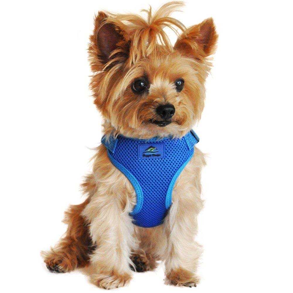 Wrap and Snap Choke Free Dog Harness O583