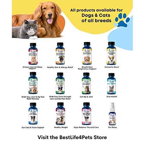 Cat Thyroid Supplement R831163