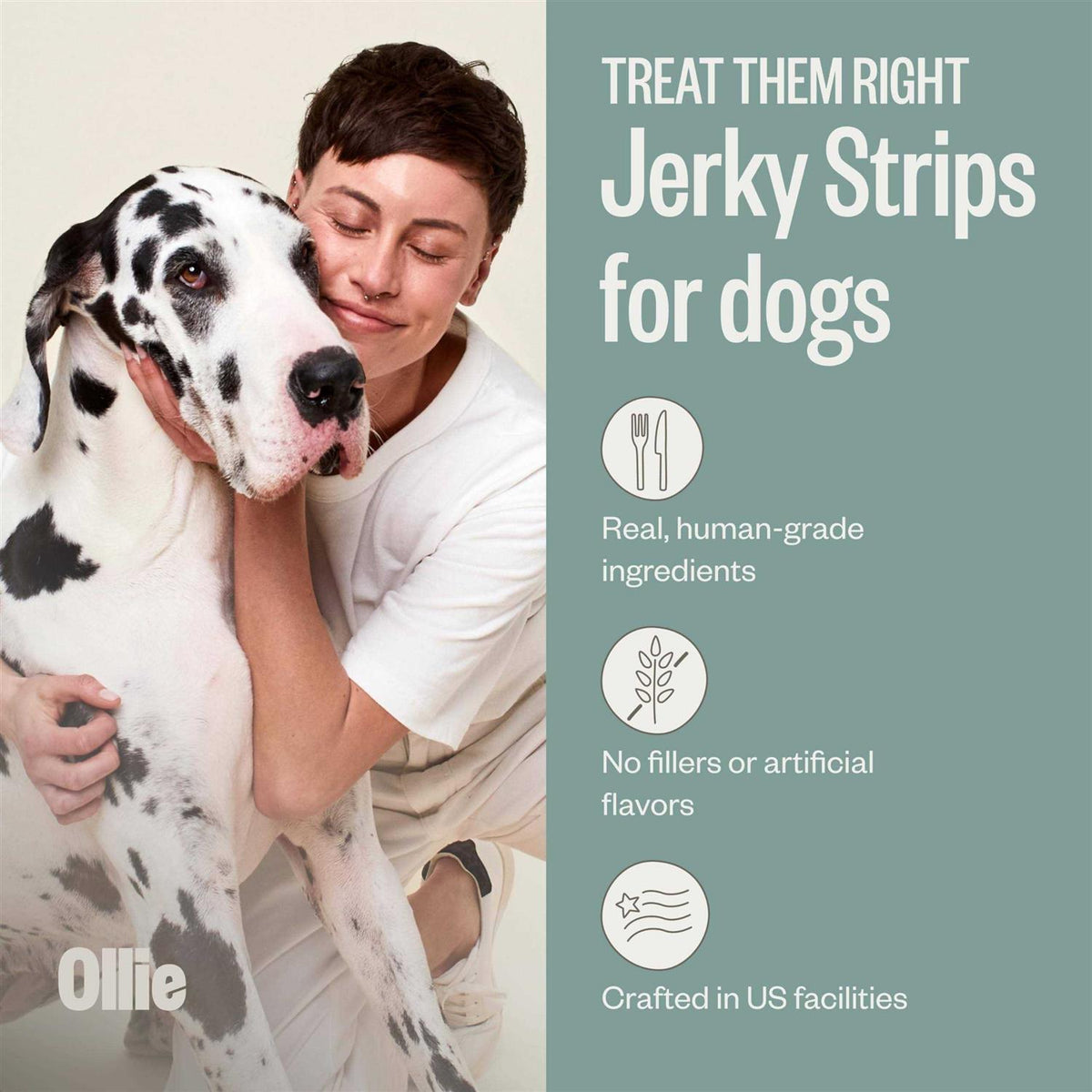 Beef and Sweet Potato Dog Jerky Treats D1871