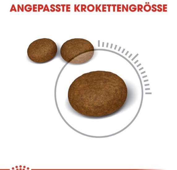 Adult 4kg Hair & Skin Care N969444