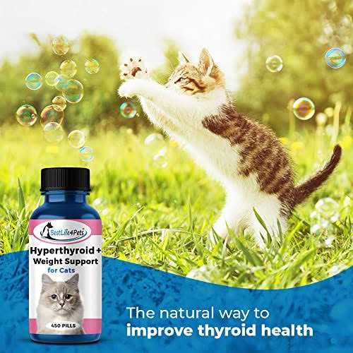 Cat Thyroid Supplement R831163