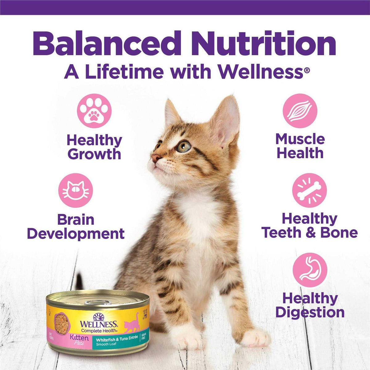 Kitten Canned Wet Cat Food W85617