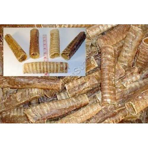 Beef Trachea 6 inch T338454