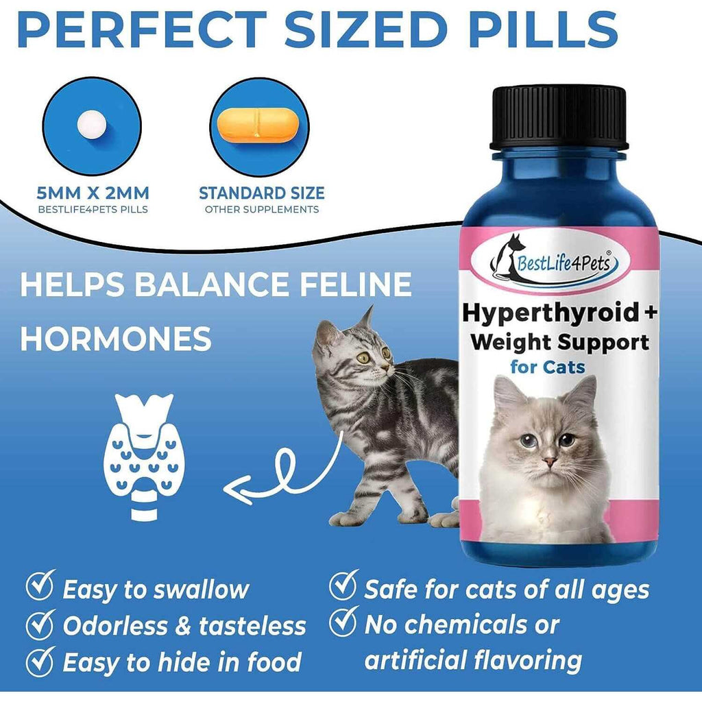 Cat Thyroid Supplement R831163