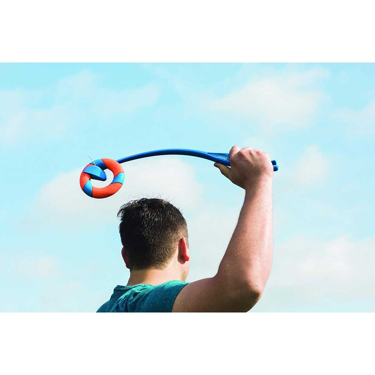 Dog Toy Ring O338526