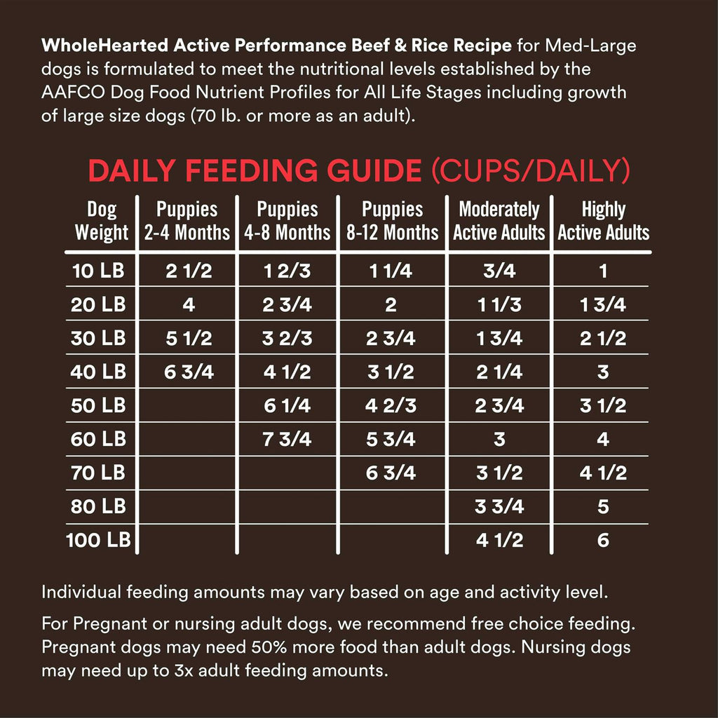 High-Protein Beef & Rice Recipe Dry Dog Food K437