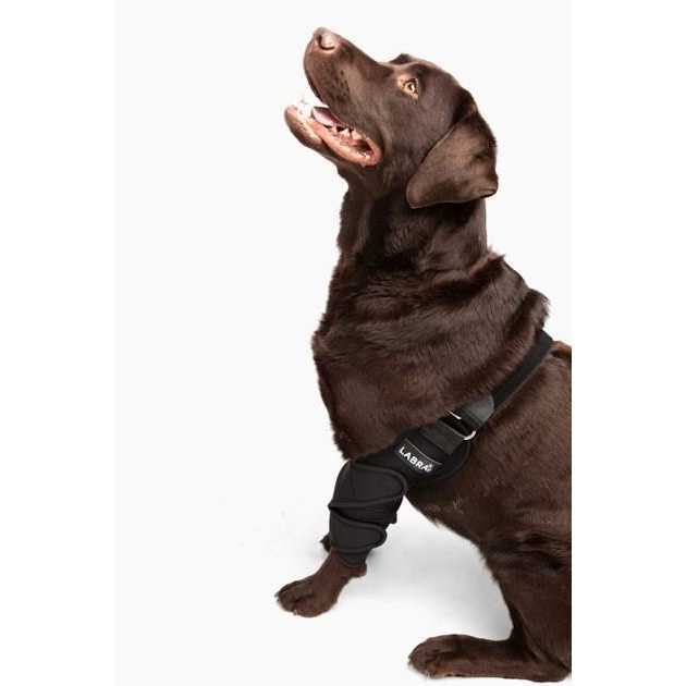 Dog Shoulder Elbow Brace Leg Wrap C1590