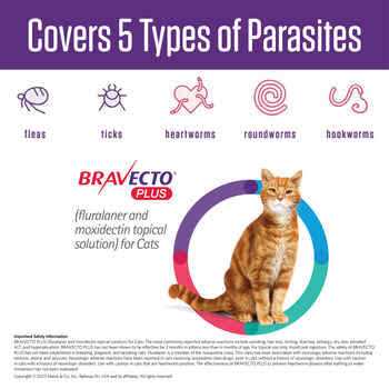 Topical Solution for Cats G6130
