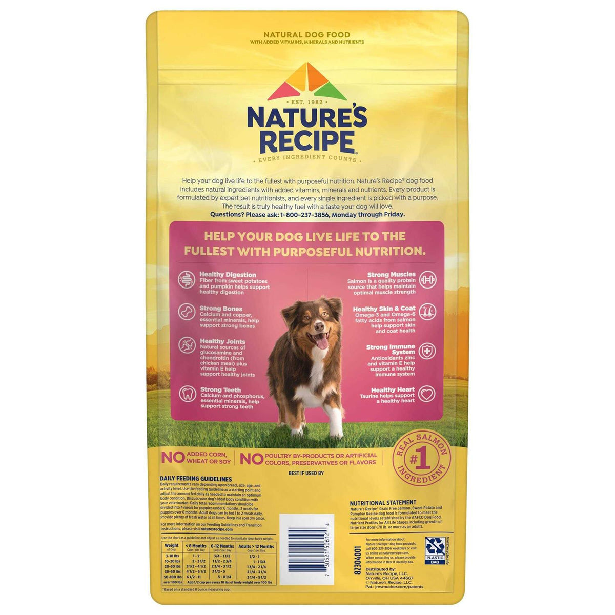 Grain Free Salmon Sweet Potato Dry Dog Food Z43984
