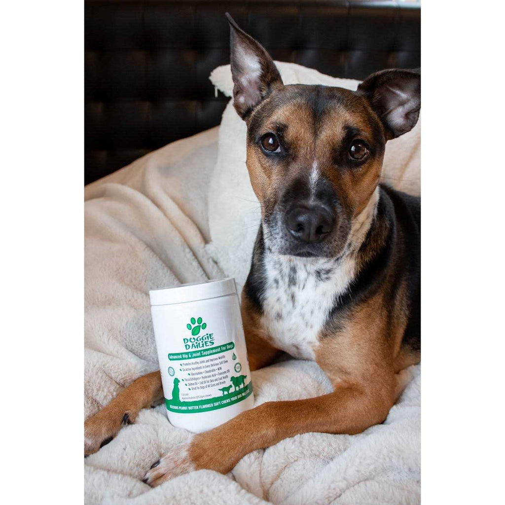 Glucosamine for Dogs S862