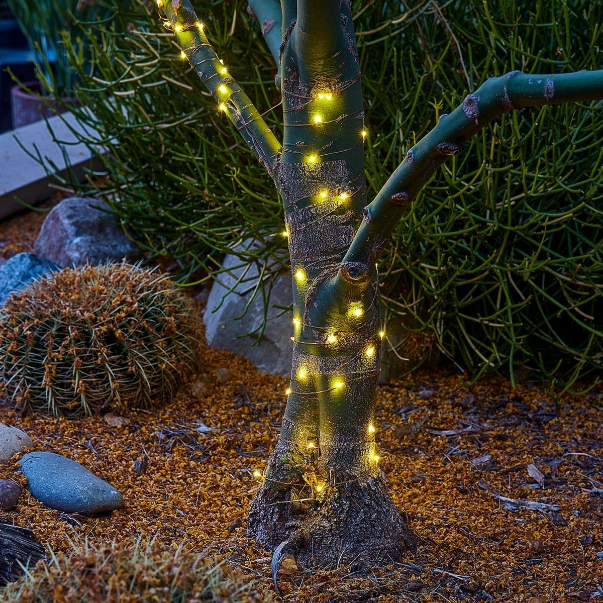 Warm White Copper Wire Lights with Remote M22815