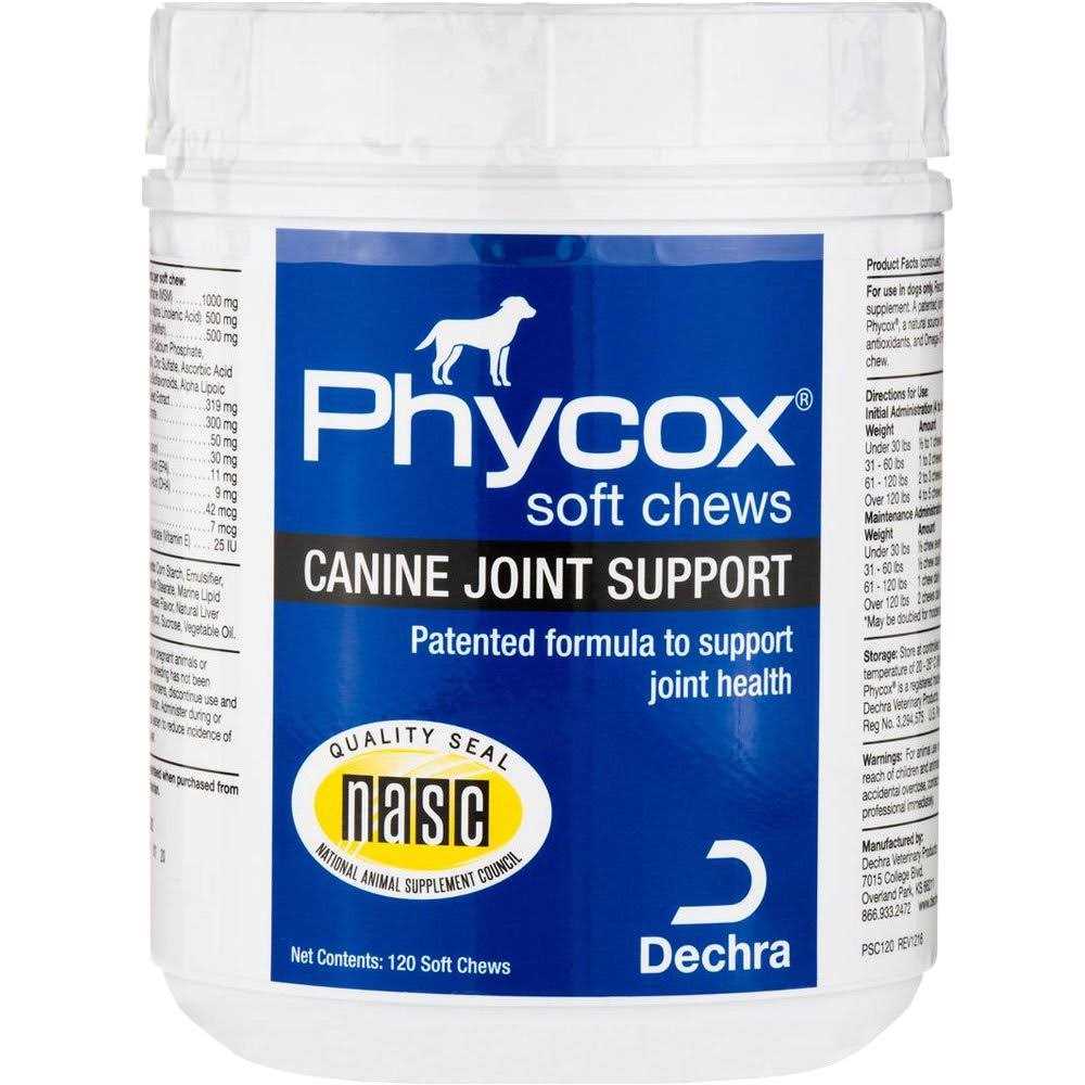 Canine Joint Support Soft Chews T99419