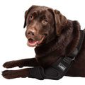 Dog Shoulder Elbow Brace Leg Wrap C1590