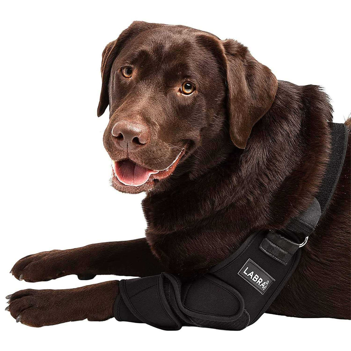 Dog Shoulder Elbow Brace Leg Wrap C1590
