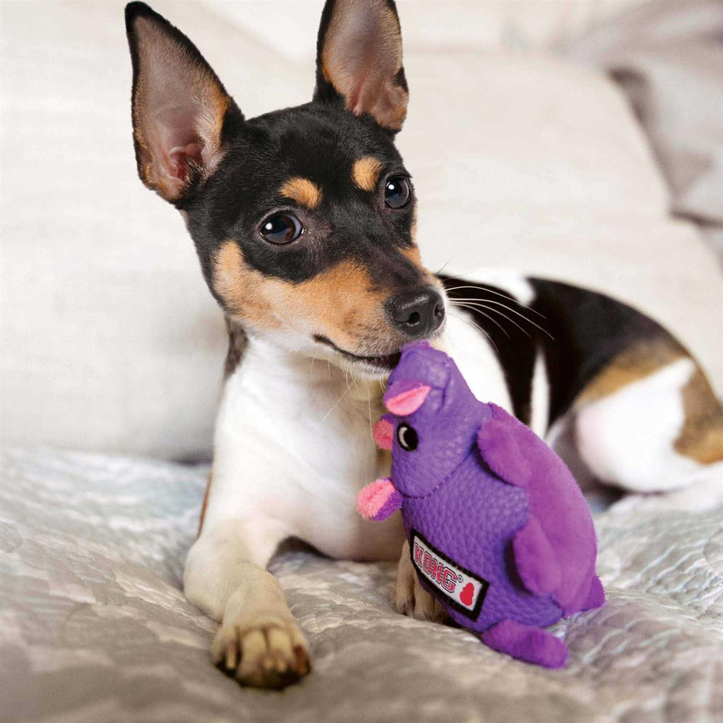 Pig Dog Toy M219