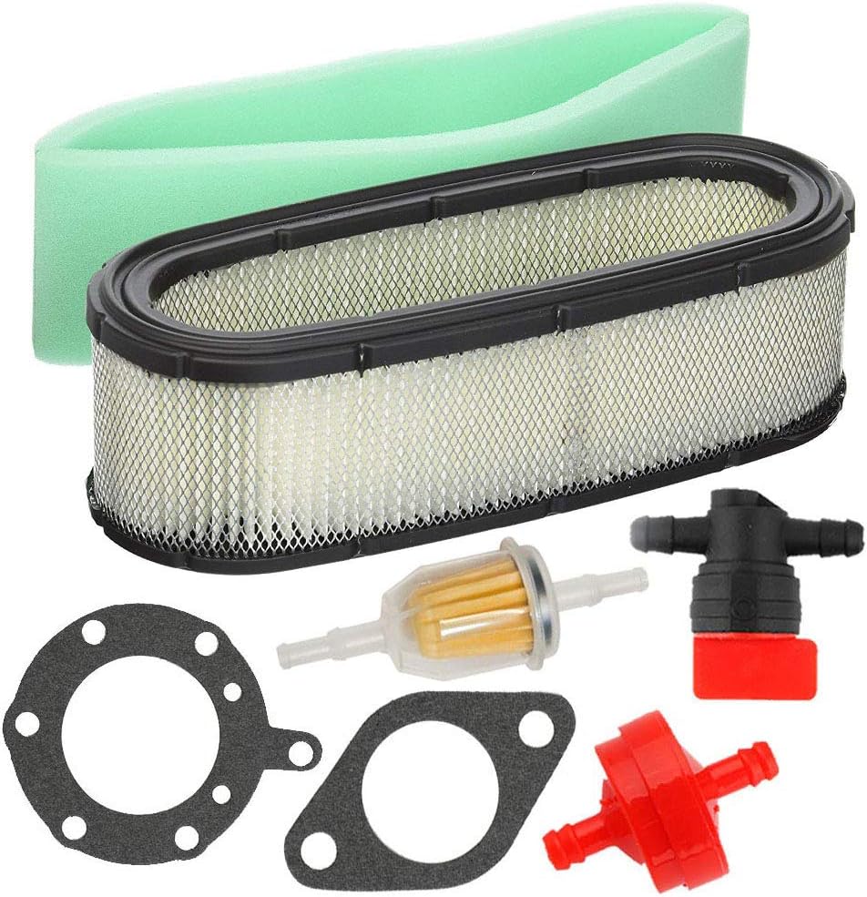 Carburetor with Air Filter and Fuel Filter D89124