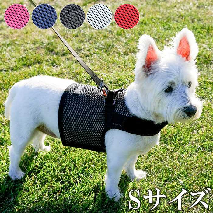 Martingale Walking Dog Harness K917525