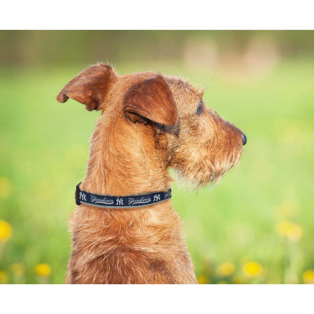 Dog Collar M83425
