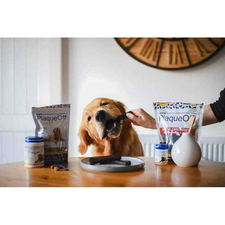 Mini Dental Bones Vegetable Fusion & Blueberry T275