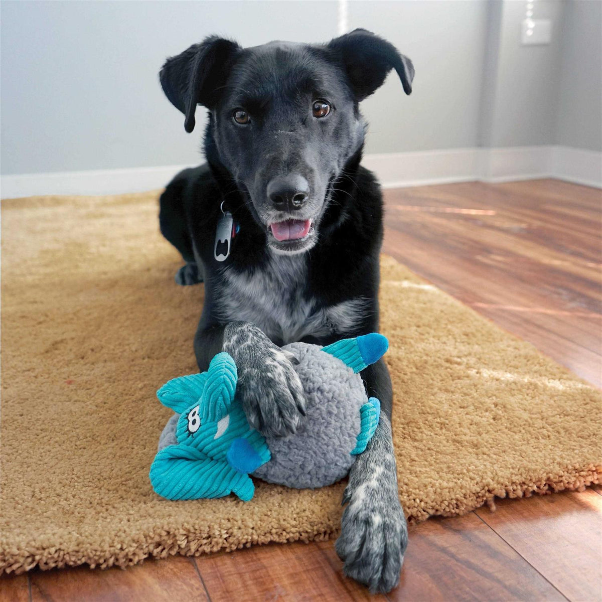 Moose Dog Toy C41326