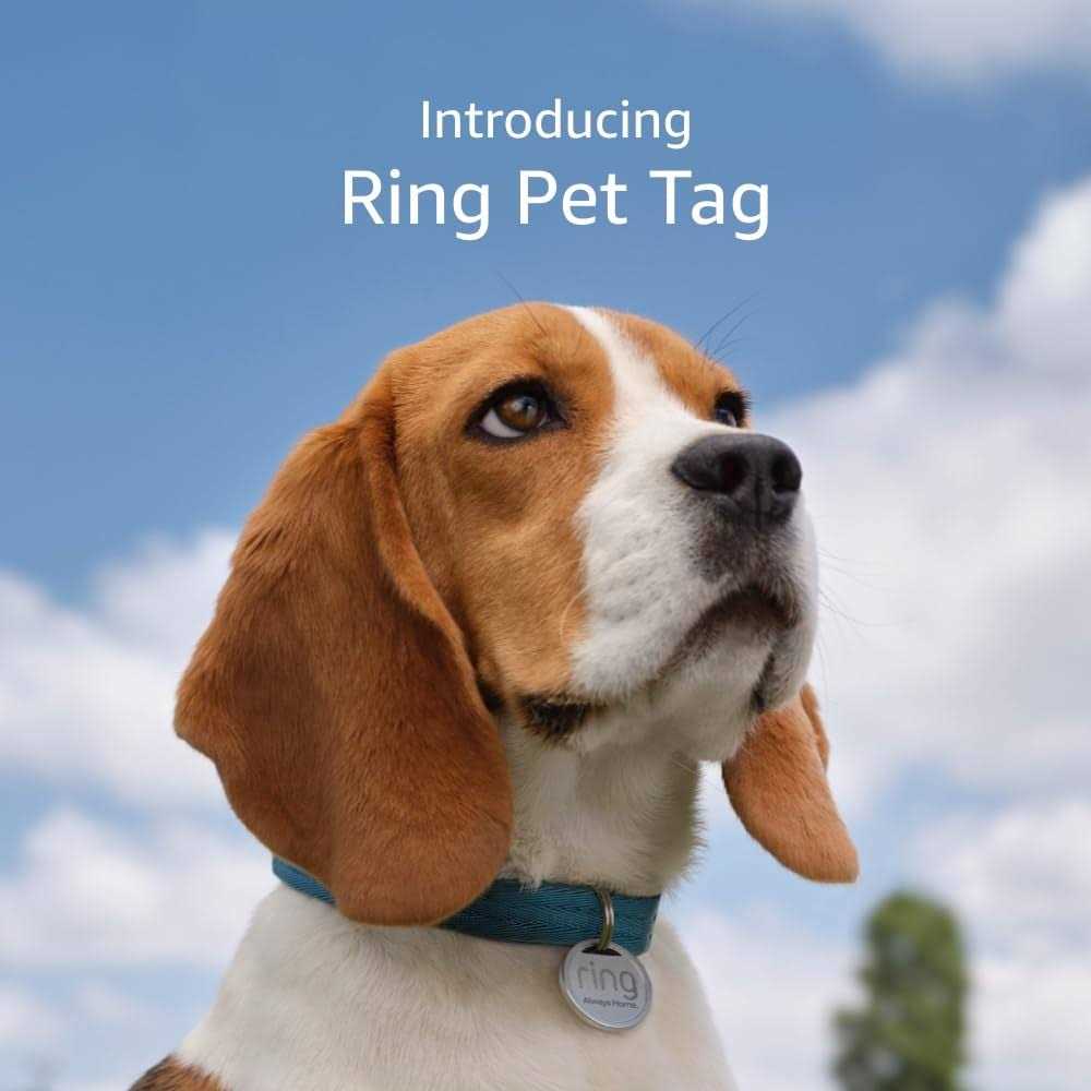 QR Code Pet Tag B290