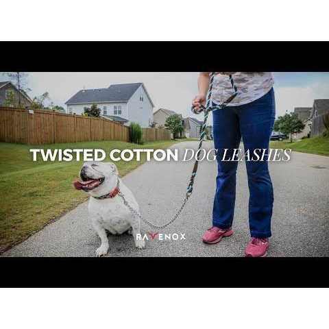 Dog Leash with Chain L97615