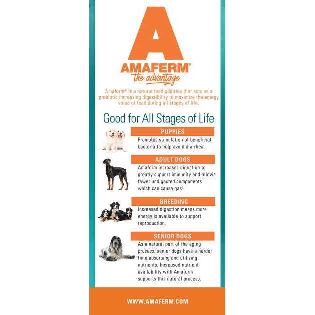 Grain Free Dry Dog Food M37098