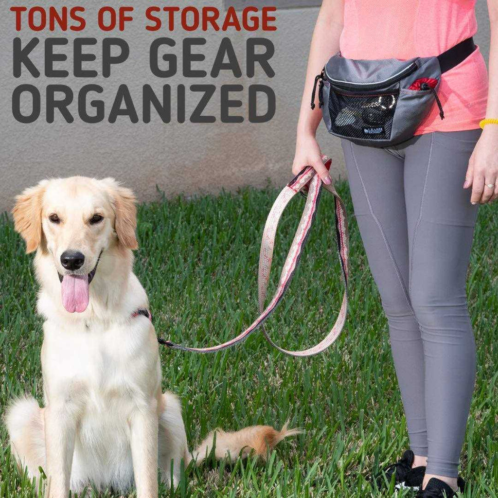 Dog Treat Training Pouch with Waste Bag Dispenser J77665