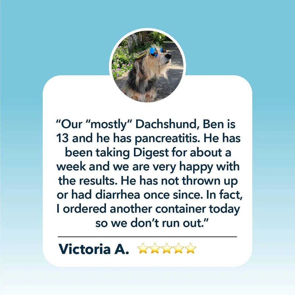Digestive Enzymes and Probiotics for Dogs U183770