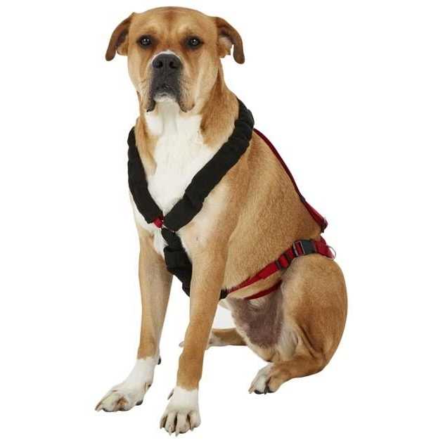 One Harness Y50166