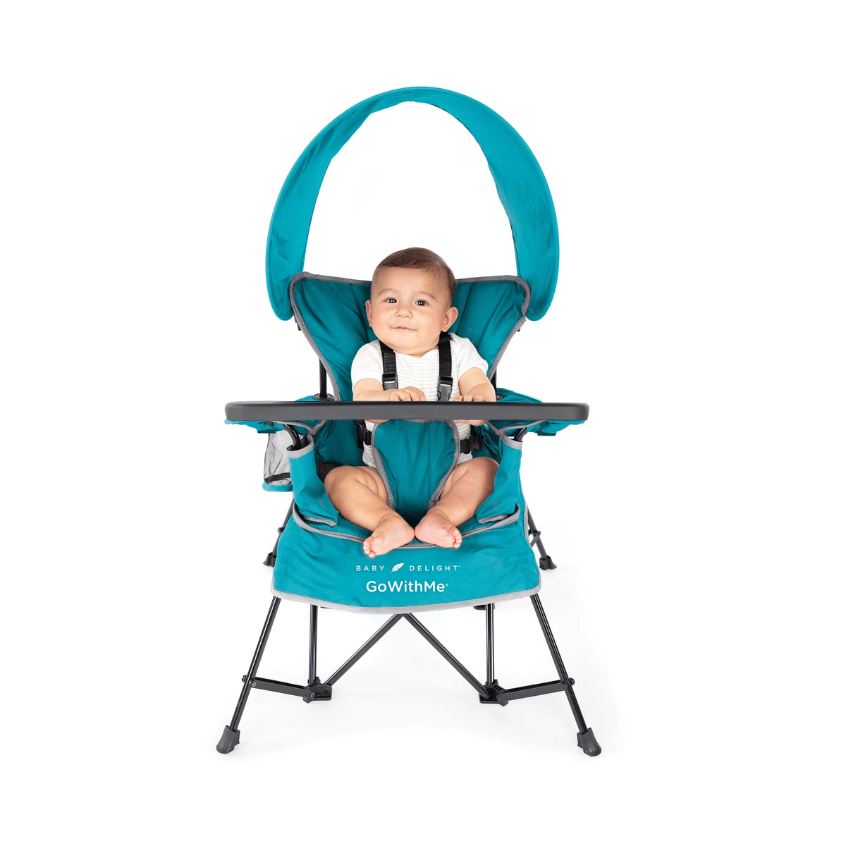Portable Infant Chair with Removable Canopy, Teal H94938