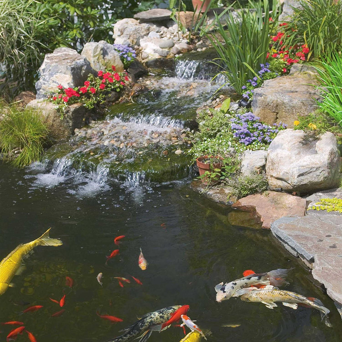 Pond Sticks Goldfish & Koi Food Z4219